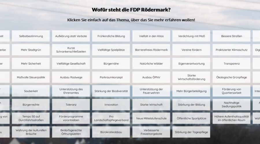 Wofür steht die FDP Rödermark